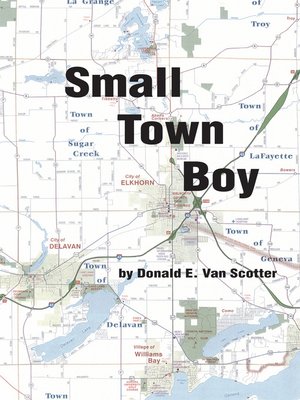 cover image of Small Town Boy